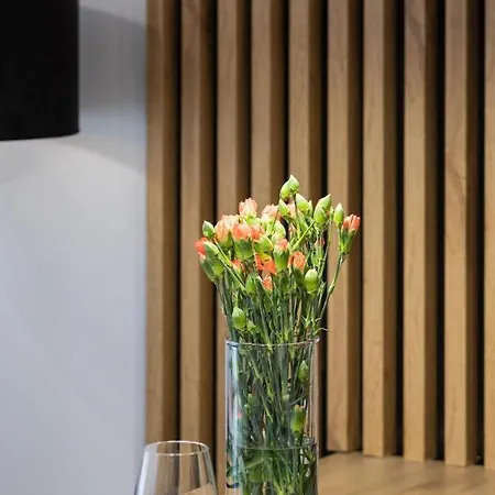 アパート Nad Parseta Mlynska By Renters コウォブジェク